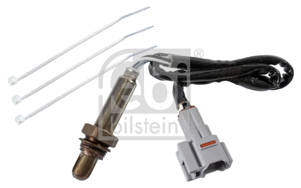 Oxygen Sensor